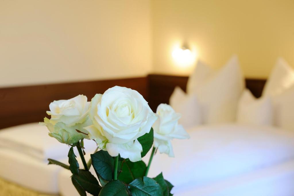 Hotel Inspiration Garni Tittmoning Pokoj fotografie